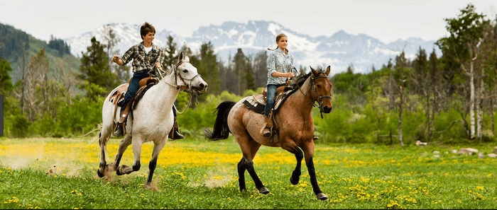 Confident plus-size woman riding Southall a horse through a field with a smile on her face.